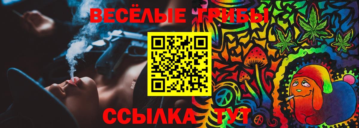 Тула  Псилоцибиновые грибы MAGIC MUSHROOMS  как найти закладки  Вход с VPN 